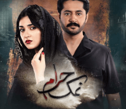 Namak Haram Drama Cast