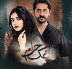 Namak Haram Drama Cast