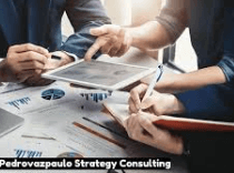 Pedrovazpaulo Strategy Consulting