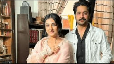 Namak Haram Drama Cast: A Look at the Cast of "Namak Haram"