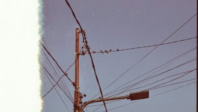 contact support at 7328195922