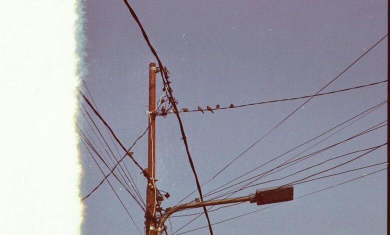 support line available 8442356275