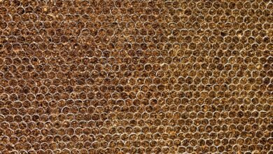 48ft3ajx risks and warnings