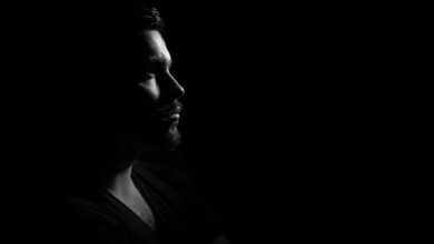 profile highlights overview insights