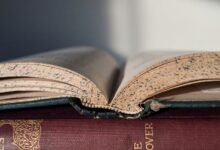 commercial intelligence report summary