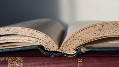 commercial intelligence report summary