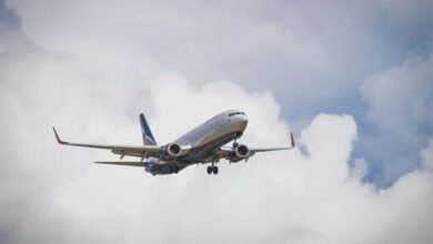 premium sector dynamics analysis