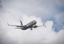 premium sector dynamics update