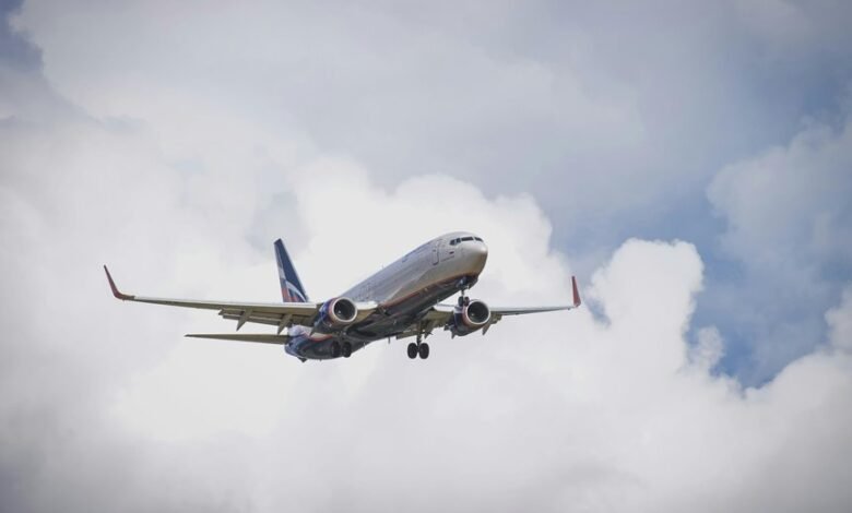 premium sector dynamics update