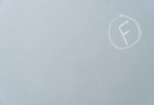 premium sector performance review