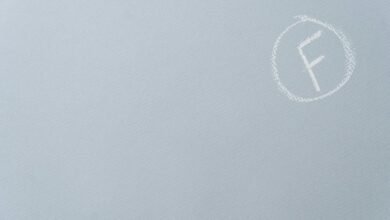 premium sector performance review