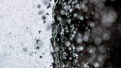 cyber stream stellar flux