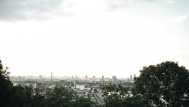 digital advantage for creativity