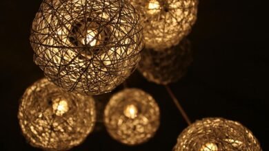 illuminated development journey