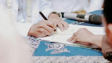 ip registry reports documentation