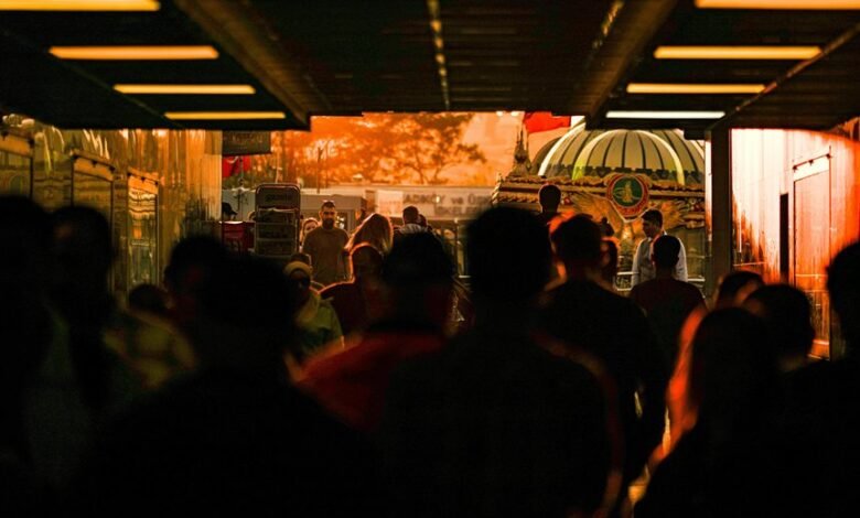 market dynamics analysis report