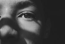 profile activity engagement insights