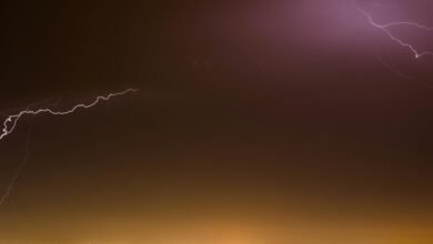 stellar surge growth path